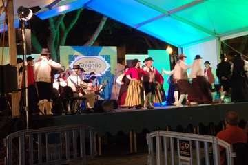  Éxito del IX Encuentro Folclórico Los Llanos (Foto TAy Jesús Ruiz Mesa)